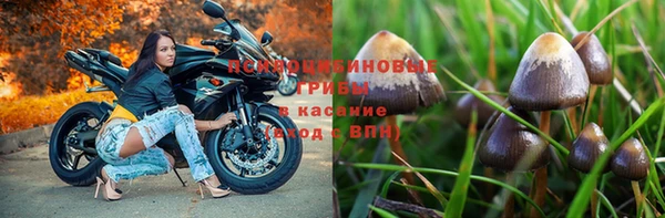 кокаин колумбия Алзамай