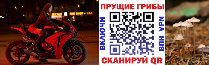 Галлюциногенные грибы Cubensis  Купить  Борзя 